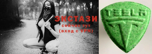 индика Заводоуковск