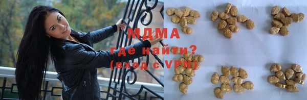 индика Заводоуковск