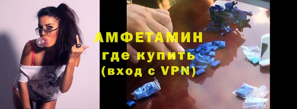 индика Заводоуковск