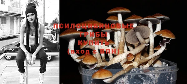 ГАЛЛЮЦИНОГЕННЫЕ ГРИБЫ Заволжск