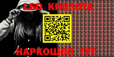 PSILOCYBIN Камышлов