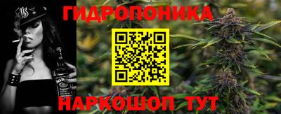 apvp Кандалакша