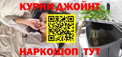 PSILOCYBIN Камышлов